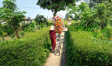 Foldable E-Bikes vs. Traditional Bicycles: Understanding the Benefits