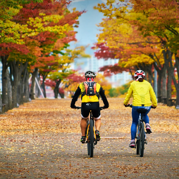 Are E-bikes Cheating Fitness?