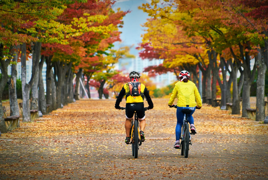 Are E-bikes Cheating Fitness?