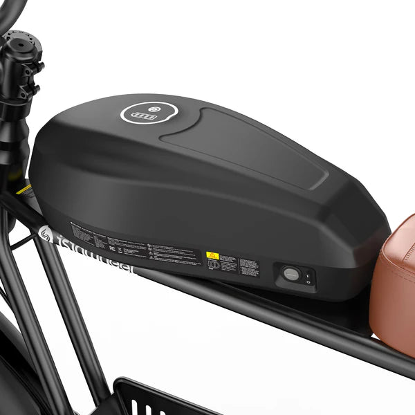 isinwheel R6 Pro Electric Bike - 48V 20Ah 1500W, 35 MPH Max Speed, 330 lbs Max Load - 100% Financing Available!