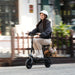 F2 Electric Scooter with Seat, 10" Pneumatic Tire, 19 MPH