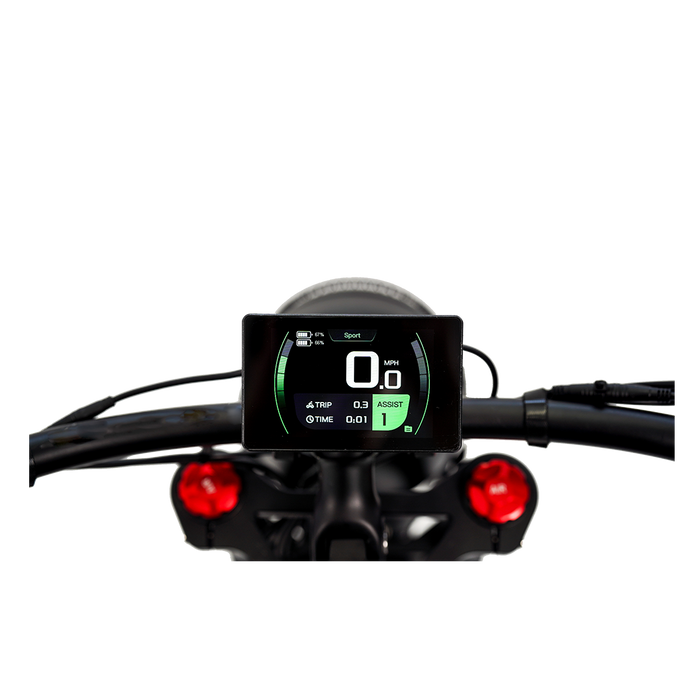 REVIBIKES Cheetah Pro Vintage Retro Fat‑Tire Electric Bike