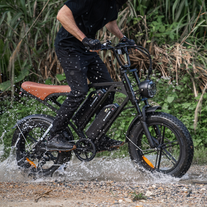 CycHunter 1000W Class 3 Moped-Style Electric Bike Full Suspension