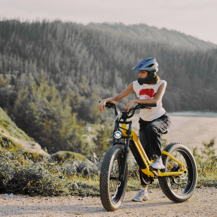 Roma All-Terrain Electric Bike with Kid Seat Indigo Blue