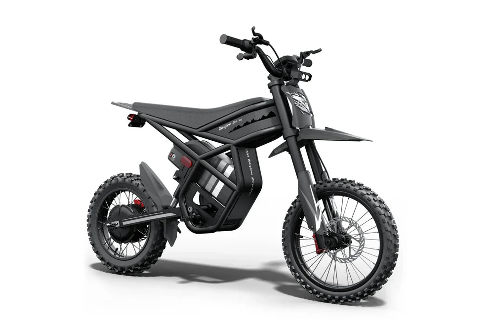 RIDING TIMES GT54 Pro Electric Mini Motorbike for Teenagers & Adults - 60V, 25Ah, 3000W Peak Hub Motor -  - 100% Financing Available!