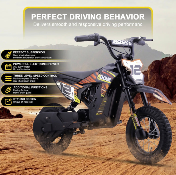 MotoTec 36v 300w (HP122E) Electric Dirt Bike - 100% Financing Available!