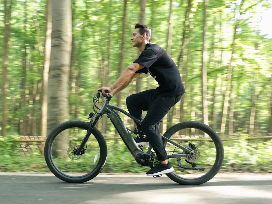 VELOWAVE Forest SM 500W Electric Mountain Bike with Air Suspension