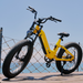 Roma All-Terrain Electric Bike with Kid Seat Indigo Blue