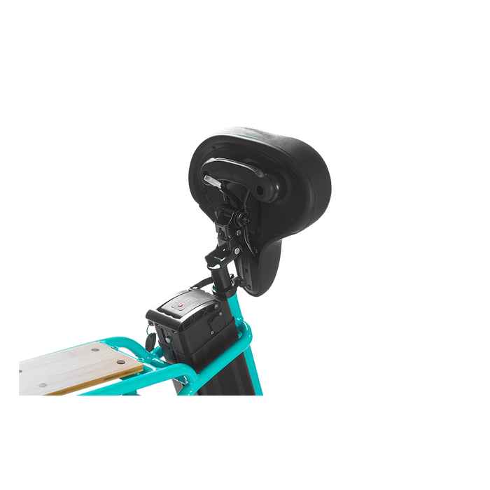 Rebel 2 20-Inch Foldable Women’s Electric Bike with 750W Motor