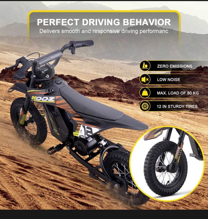 MotoTec 36v 300w (HP122E) Electric Dirt Bike - 100% Financing Available!