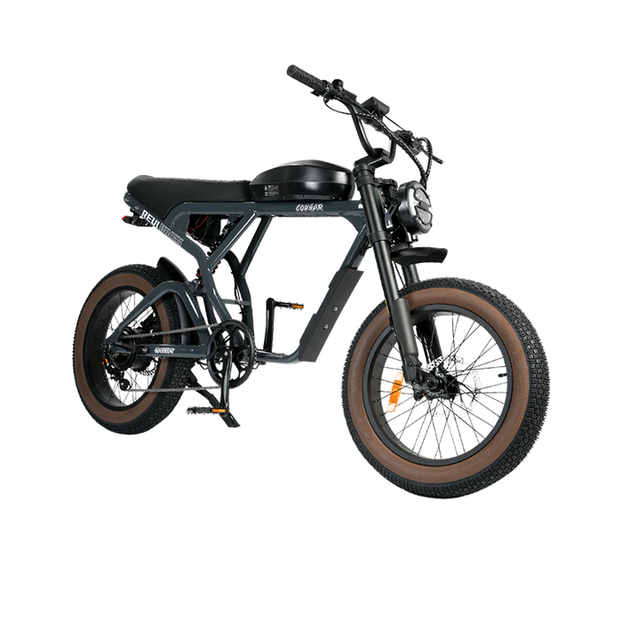 Revibikes Cougar Electric Moped Bike with 750W Motor