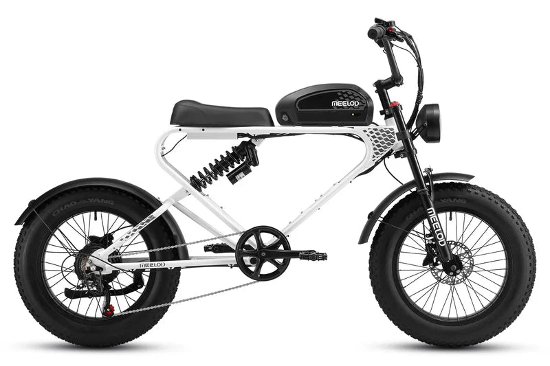 Meelod DK300 PLUS 1200W Fat Tire Electric Bike - 48V 20Ah, 28+ MPH, 50-100 Mile Range, Hydraulic Brakes, Max Load 440 Lbs - 100% Financing Available!