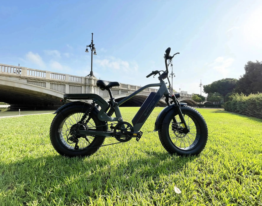 G-FORCE RS Full Suspension Fat Tire 750W Electric Bike