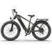 Aostirmotor Electric Bikes Aostirmotor 52V All-terrain Electric Bike King