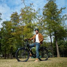 Freego City Flow A1 Mid-Drive Electric Bike - 48V, 15Ah, 750W Peak, hydraulic brakes,Shimano 8 speed, max speed 28MPH - 100% Financing Available!