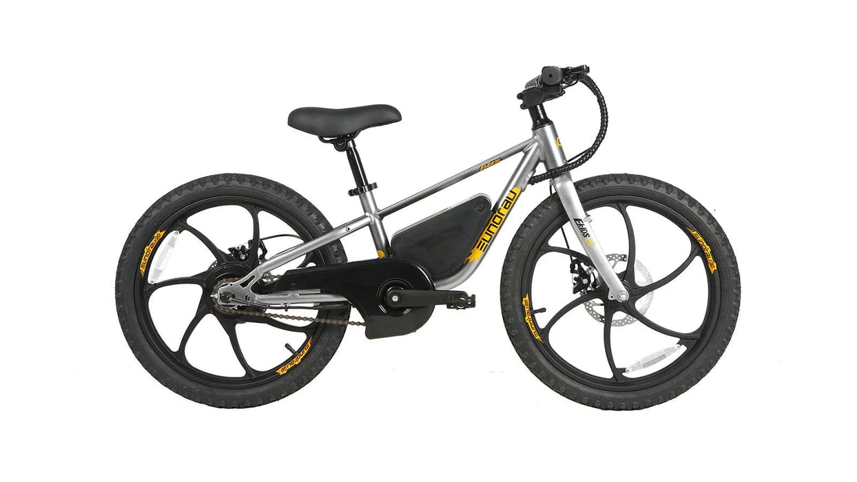 Eunorau Electric Bikes Eunorau EKIDS-20 2024 Kids Electric Bike 24V, 250W, Dual Brake System