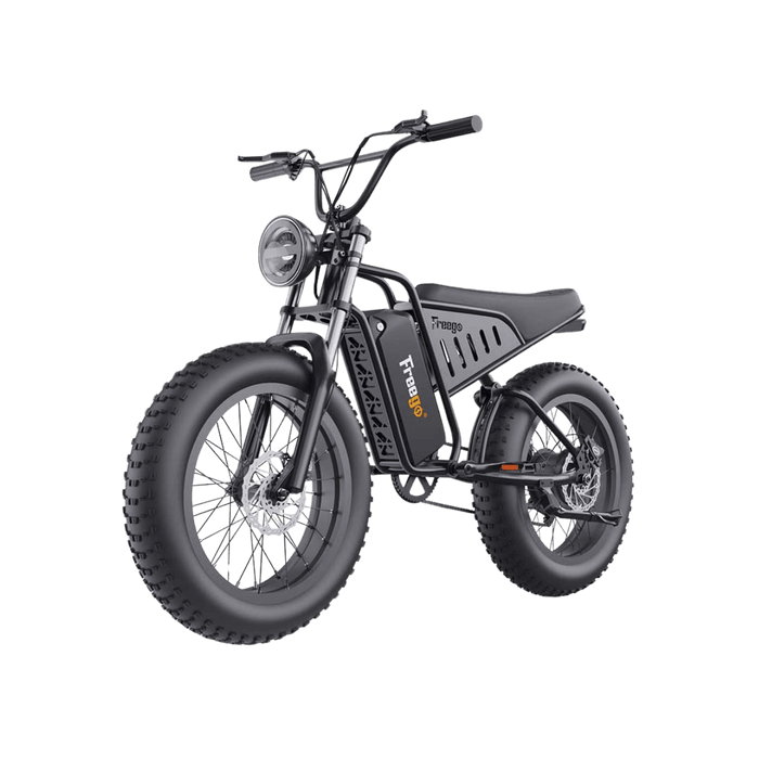 Freego S1 Cafe Racer Fat Tire Electric Bike with 750W Motor