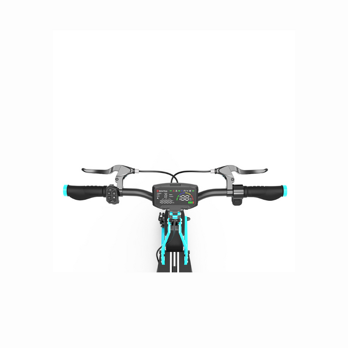 Freego C10 Landrider Foldable High-Performance Turbo Electric Scooter