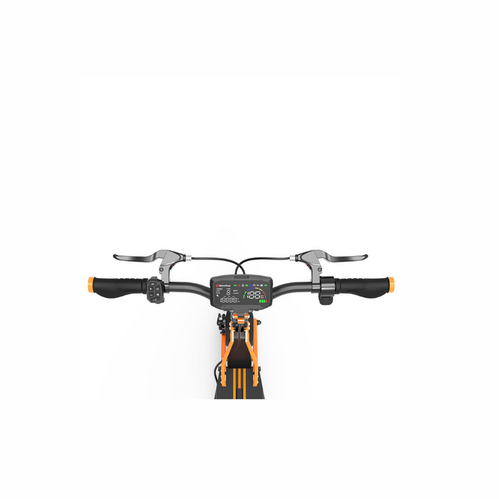 Freego C10 Pro Landtiger Dual-Motor Foldable Electric Scooter