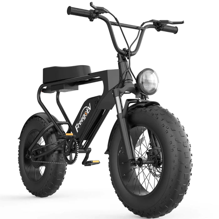Freego Electric Bikes Freego DK200 Off Road Mountain Electric Bike 20'' Fat tires 1200W Powerful Motor 20Ah Lithium Battery