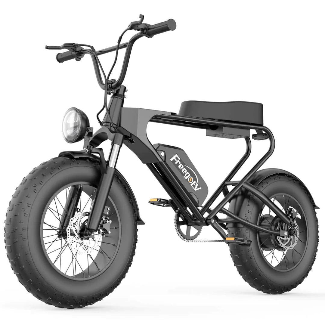 Freego DK200 Off Road Mountain Electric Bike 20'' Fat tires 1200W Powe