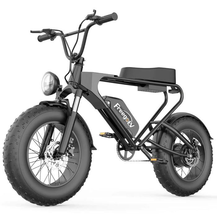 Freego Electric Bikes Freego DK200 Off Road Mountain Electric Bike 20'' Fat tires 1200W Powerful Motor 20Ah Lithium Battery