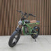 Urban Bikes Direct Freego Shotgun F2 Pro Electric Cargo Bike 1400W Poweful Motor
