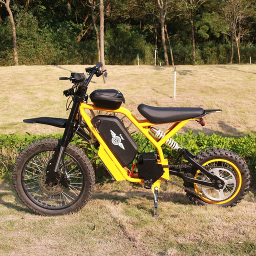 Freego Nova 2 Youth Electric Dirt Bike with 2800W Motor