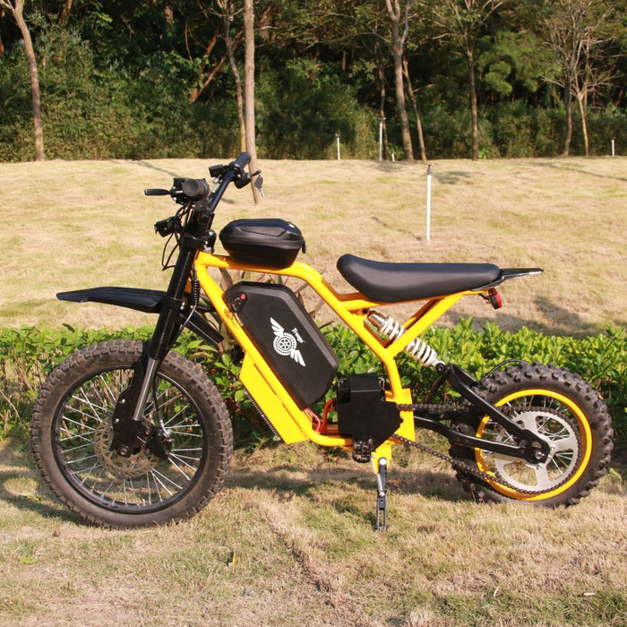 Freego Nova 2 Youth Electric Dirt Bike with 2800W Motor