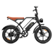 CycHunter 1000W Class 3 Moped-Style Electric Bike Full Suspension