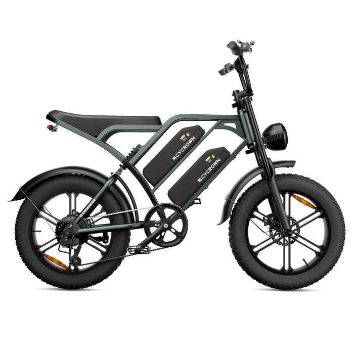 CycHunter 1000W Class 3 Moped-Style Electric Bike Full Suspension
