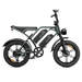 CycHunter 1000W Class 3 Moped-Style Electric Bike Full Suspension