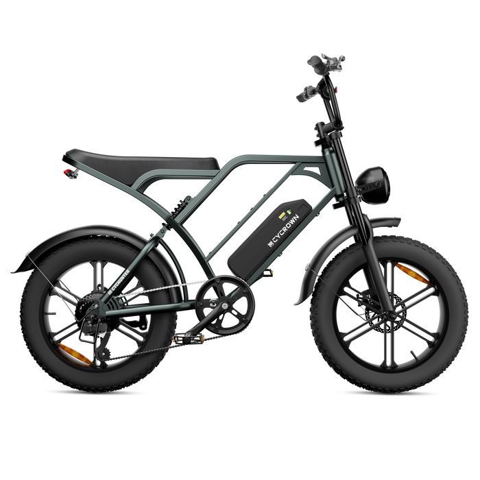 CycHunter 1000W Class 3 Moped-Style Electric Bike Full Suspension