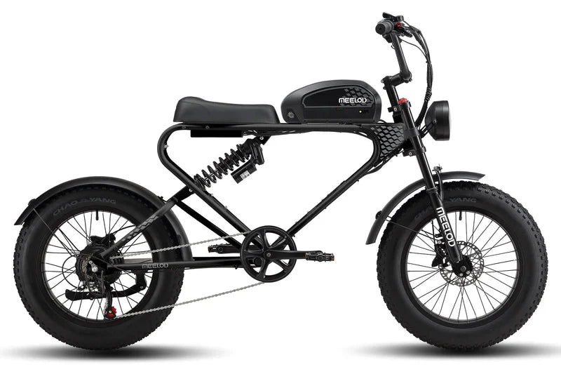 Meelod DK300 PLUS 1200W Fat Tire Electric Bike - 48V 20Ah, 28+ MPH, 50-100 Mile Range, Hydraulic Brakes, Max Load 440 Lbs - 100% Financing Available!