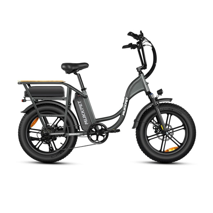 Mukkpet Mukkpet Breeze Electric Bike - Financing Available