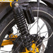 Nakto Electric Bikes Nakto F4 Electric Bike - 48V, 1000W peak, 20Ah, range 60 miles, max speed 28 mph, max load 400 lbs., cargo rack