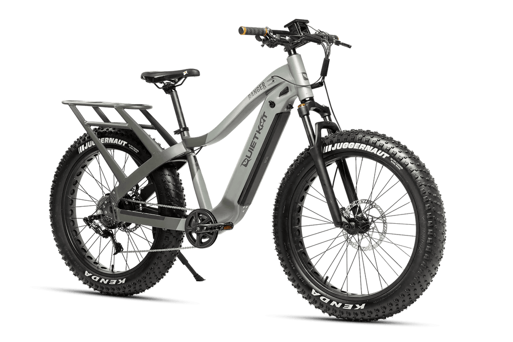 Quiet cat bike ebay hotsell