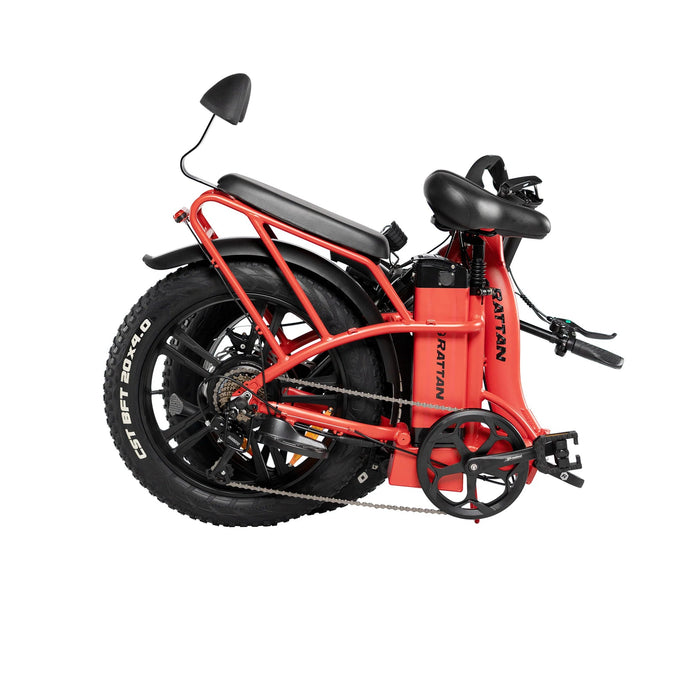 Rattan Electric Bike Rattan LF-750 PRO 750W 48V 13Ah Alloy Wheel Fat Tire 4.0 Foldable 2-Seater E Bike With Switch For Cruise Control