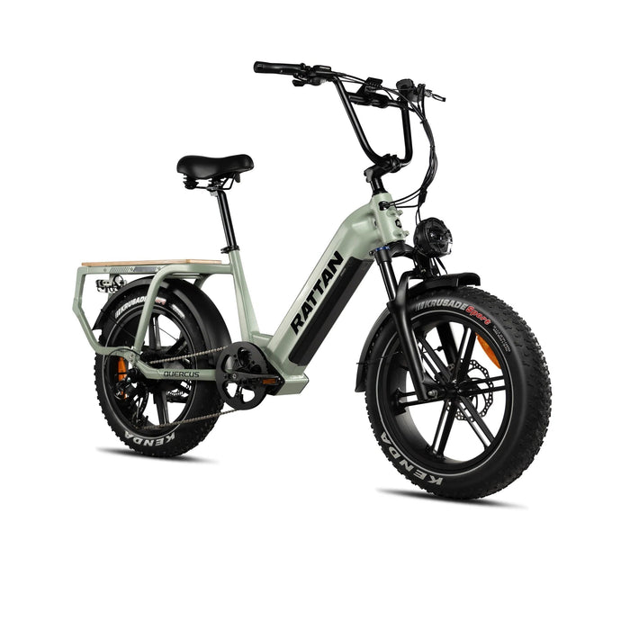 Rattan 750W 20Ah Cargo Ebike - Up to 80 Miles, Family Fat Tire Electric Bike