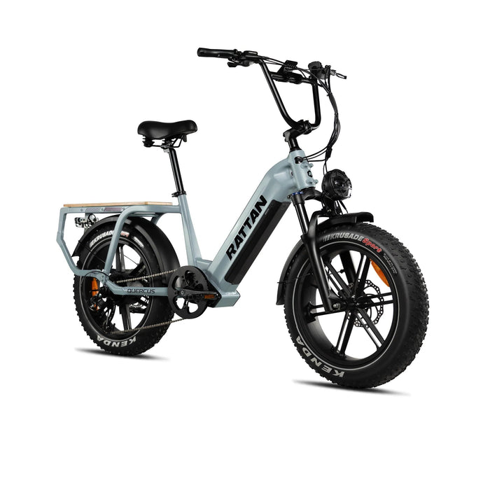 rattan electric bicycle Rattan 750W 20Ah Cargo Ebike - Up to 80 Miles, Family Fat Tire Electric Bike
