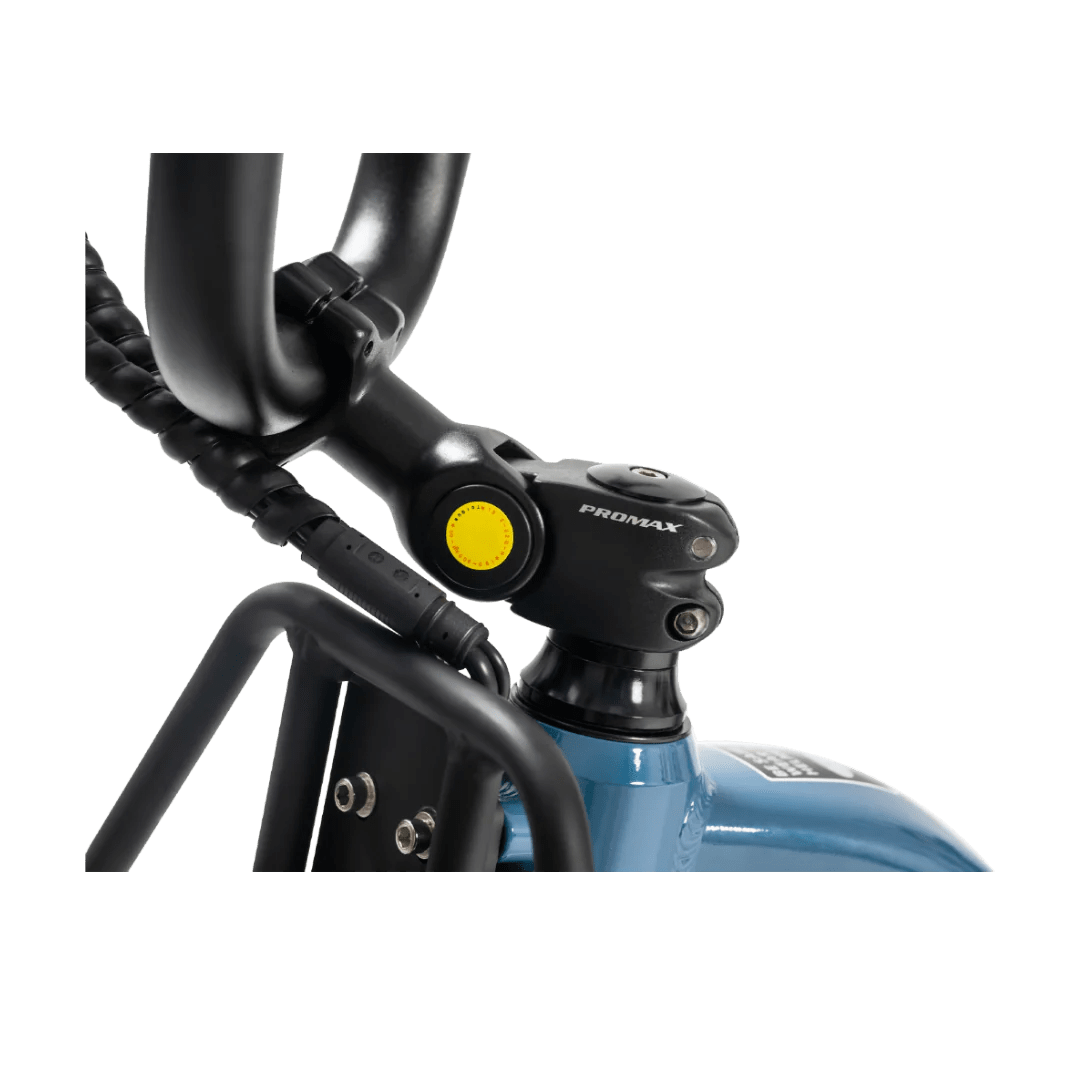 Revi Bikes Flux Electric Cargo Bike 48V, 750W/1200W Motor, 440lb load — Urban Bikes Direct