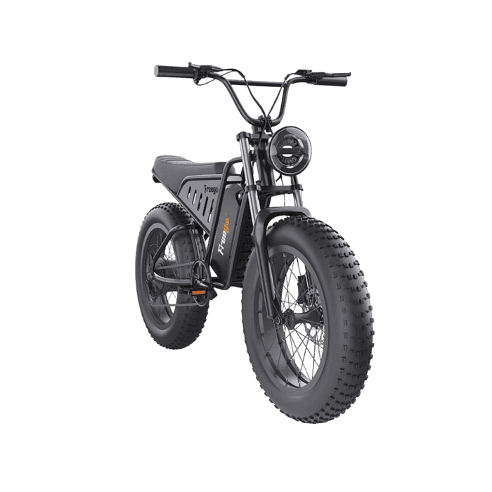 Freego S1 Cafe Racer Fat Tire Electric Bike with 750W Motor