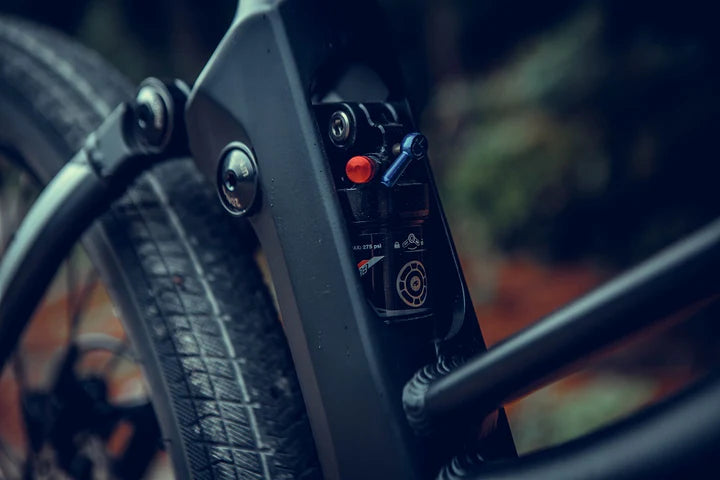 Eunorau SPECTER-ST 2.0 Step Thru Electric Bike - 48V, mid-drive, 1000w, torque sensor, 160 N.m torque - 100% Financing Available!