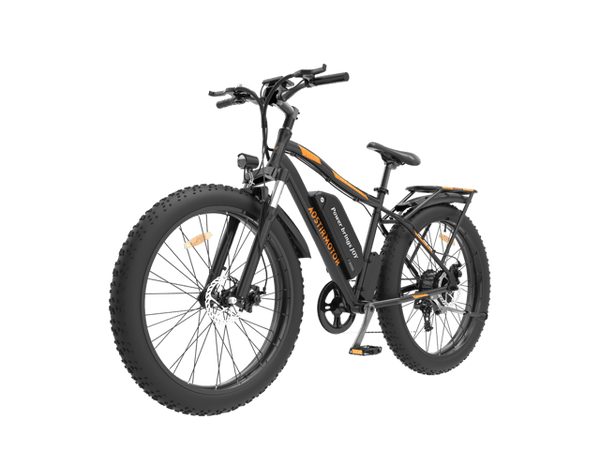 Aostirmotor 750w 2024 electric bike