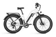Dirwin Dirwin Seeker Step-Thru Fat Tire Electric Bike 750W 768WH