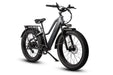 Dirwin Electric Bike Dirwin Pioneer Step-Thru Fat Tire Electric Bike 750W 720WH