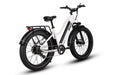 Dirwin Electric Bike Dirwin Pioneer Step-Thru Fat Tire Electric Bike 750W 720WH