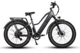 Dirwin Electric Bike Gray Dirwin Pioneer Step-Thru Fat Tire Electric Bike 750W 720WH