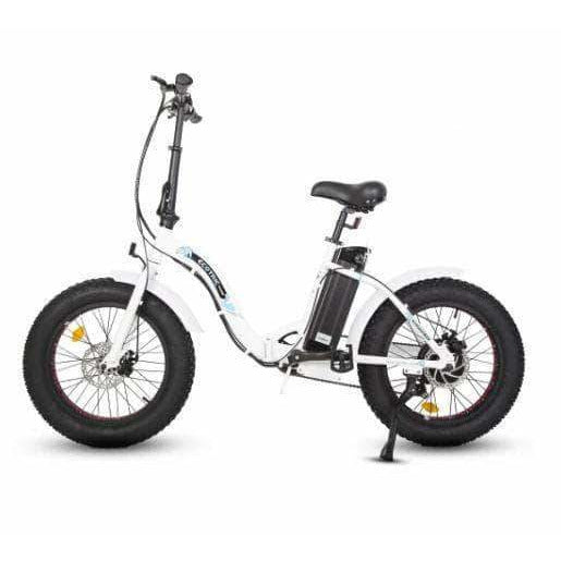 UL Certified-Ecotric 20inch Black or White Portable and folding fat bike model Dolphin