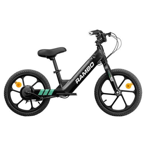 Vélo Électrique 24V e-Bike 16 Inches
